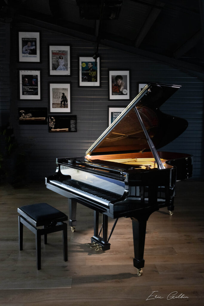 concessionaire steinway sons toulouse 31