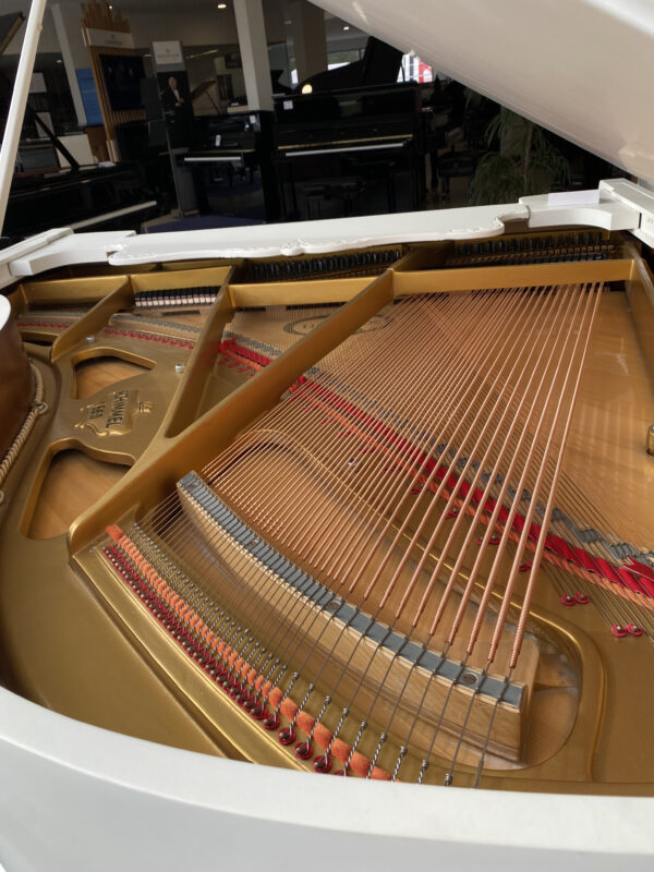 SCHIMMEL 189 Allemand | occasion SCHIMMEL 189 Allemand | occasion