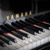 yamaha c3x 1/4 de queue yamaha c3x 1/4 de queue