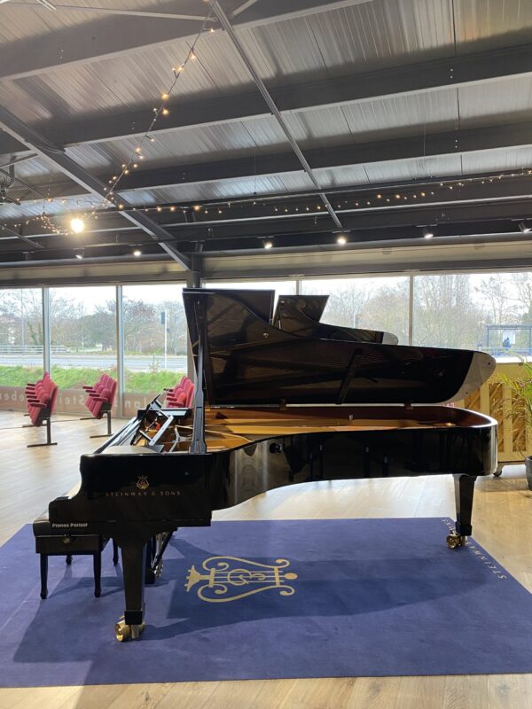 zimmermann-140-steel-toad-piano-occasion D-274 OCCASION - SERVICE CONCERT