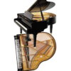 Piano acoustique Steingraeber & Söhne A-170 Noir Brillant Piano acoustique à queue Steingraeber & Söhne A-170 Noir Brillant