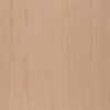 a 170 n vernis spécial satiné