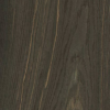 a 170 n vernis spécial satiné