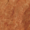 a 170 n vernis spécial satiné