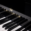 c.bechstein academy 190 noir brillant c.bechstein academy 190 noir brillant
