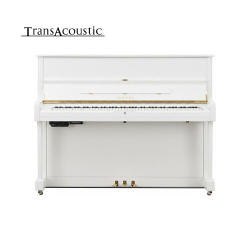 u1 transacoustic blanc brillant u1 ta3 pwh u1 transacoustic blanc brillant u1 ta3 pwh