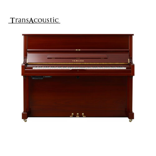 u1 transacoustic acajou brillant u1 ta3 pm u1 transacoustic acajou brillant u1 ta3 pm