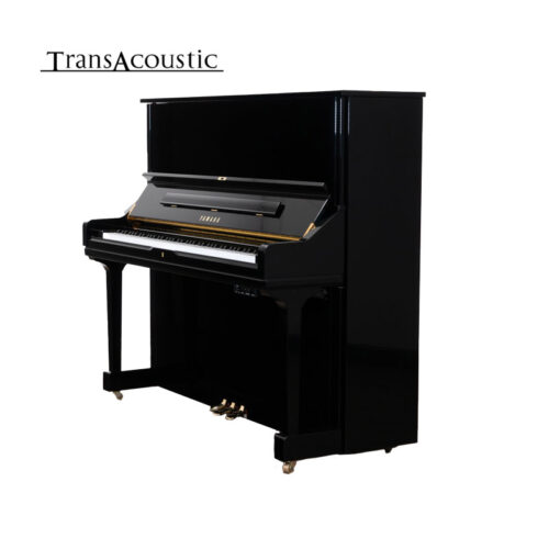 u3 transacoustic noir brillant u3 ta3 pe u3 transacoustic noir brillant u3 ta3 pe