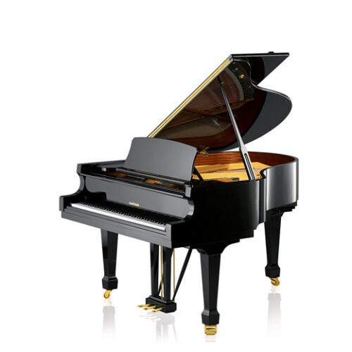 Piano acoustique à queue W.HOFFMANN T186 Noir Brillant Piano acoustique à queue W.HOFFMANN T186 Noir Brillant