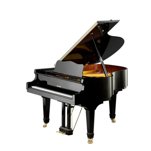 Piano acoustique à queue W.HOFFMANN V158 Noir Brillant Piano acoustique à queue W.HOFFMANN V158 Noir Brillant