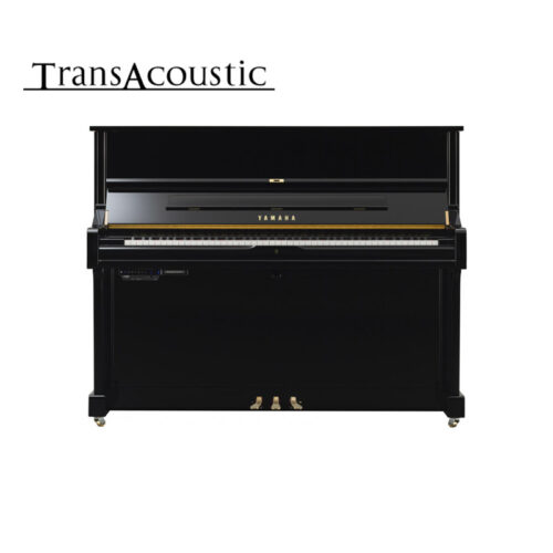u1 transacoustic noir brillant u1 ta3 pe u1 transacoustic noir brillant u1 ta3 pe