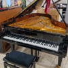 c.bechstein 1/2 que b212 | modèle d'exposition