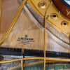 c.bechstein 1/2 que b212 | modèle d'exposition