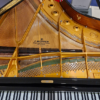 c.bechstein 1/2 que b212 | modèle d'exposition