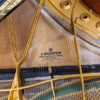 c.bechstein 1/2 que b212 | modèle d'exposition