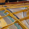 c.bechstein 1/2 que b212 | modèle d'exposition