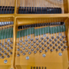 c.bechstein 1/2 que b212 | modèle d'exposition