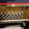 seiler 116 avec silent | occasion 2002 | noir brillant