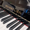 seiler 116 avec silent | occasion 2002 | noir brillant