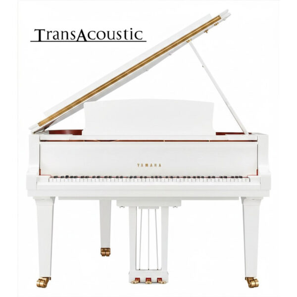 gc1 transacoustic noir brillant gc2 ta3 pwh gc1 transacoustic noir brillant gc2 ta3 pwh