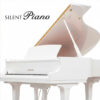 gc2 silent blanc brillant sh3 pwh