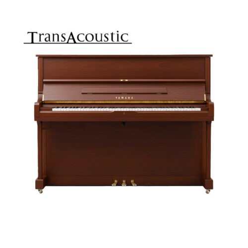 u1 transacoustic noyer satiné u1 ta3 saw u1 transacoustic noyer satiné u1 ta3 saw