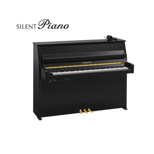 b10 silent noir brillant B10 Silent Noir Brillant
