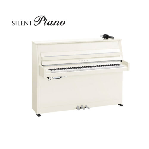 B10 Silent Blanc Brillant Chromé