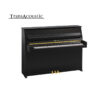 B10 Transacoustic Noir Brillant