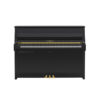 B10 Transacoustic Noir Brillant