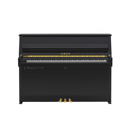 B10 Transacoustic Noir Brillant