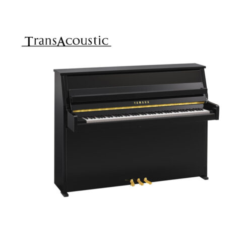 b10 transacoustic noir brillant B10 Transacoustic Noir Brillant