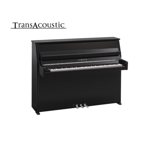 b10 transacoustic noir brillant chromé B10 Transacoustic Noir Brillant Chromé
