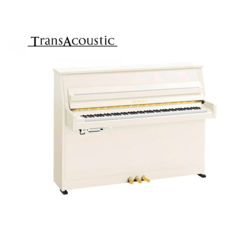 b10 transacoustic blanc brillant B10 Transacoustic Blanc Brillant