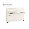 B10 Transacoustic Blanc Brillant Chromé