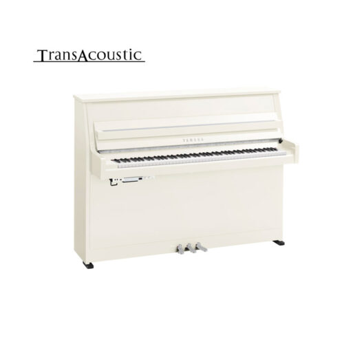 b10 transacoustic blanc brillant chromé B10 Transacoustic Blanc Brillant Chromé