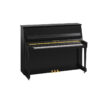 B20 Noir Brillant