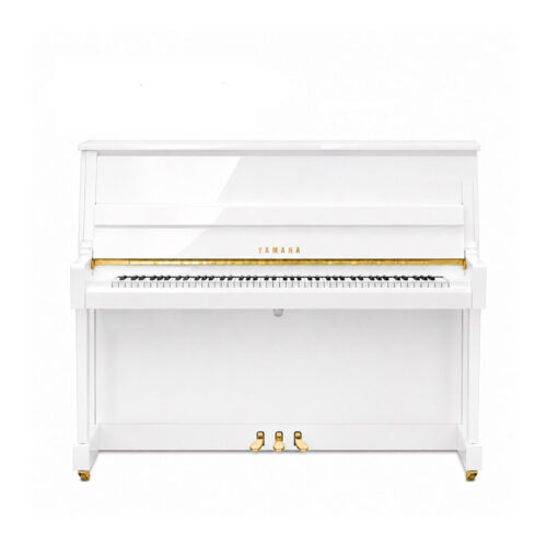 b20 blanc brillant B20 Blanc Brillant