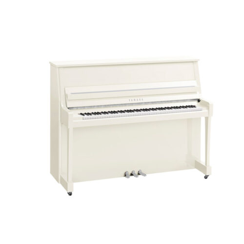 B20 Blanc Brillant Chromé