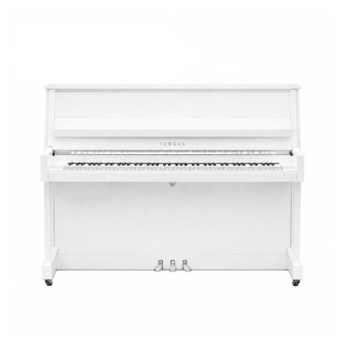 b20 blanc brillant chromé B20 Blanc Brillant Chromé