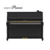 B20 Silent Noir Brillant