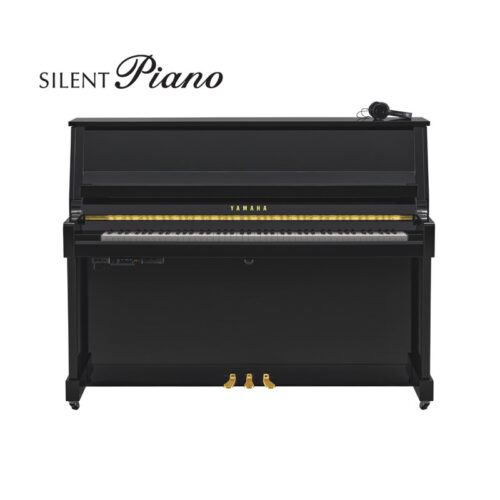 b20 silent noir brillant B20 Silent Noir Brillant