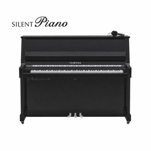 b20 silent noir brillant chromé B20 Silent Noir Brillant Chromé
