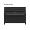 B20 Transacoustic Noir Brillant