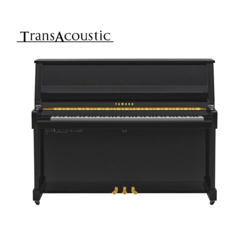 b20 transacoustic noir brillant B20 Transacoustic Noir Brillant