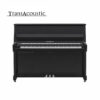 B20 Transacoustic Noir Brillant Chromé