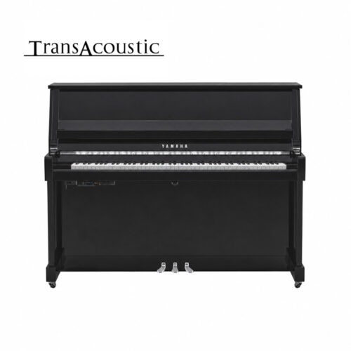 b20 transacoustic noir brillant chromé B20 Transacoustic Noir Brillant Chromé