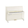 B20 Transacoustic Blanc Brillant