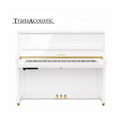 b20 transacoustic blanc brillant B20 Transacoustic Blanc Brillant