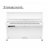 B20 Transacoustic Blanc Brillant Chromé
